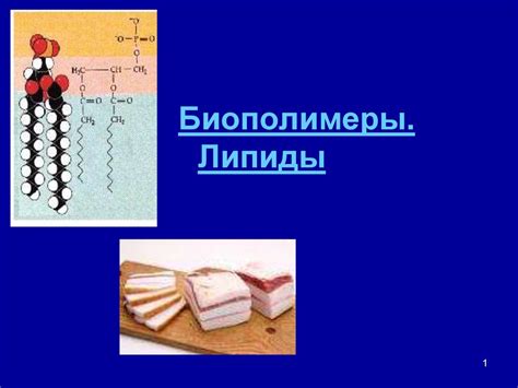 Биополимеры. Липиды - презентация онлайн