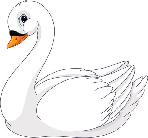 Royalty Free Swan Clip Art, Vector Images & Illustrations - iStock