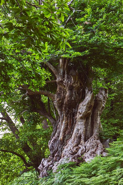 Tantra Retreat Naked Truth