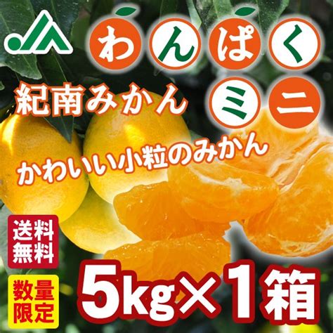 旨味極撰 紀南みかん「天」糖度設定11度 光センサー選別 早生みかん おいしく食べて和歌山モール