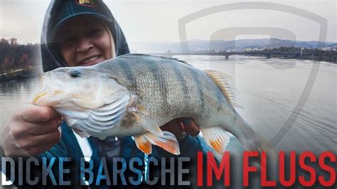 So fängst du BARSCHE im FLUSS Raubfischangeln Barschangeln YouTube