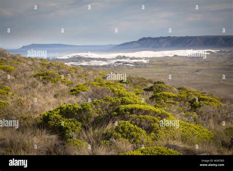 Agulhas National Park Protects Fynbos Habitat And Offers Hiking Trails