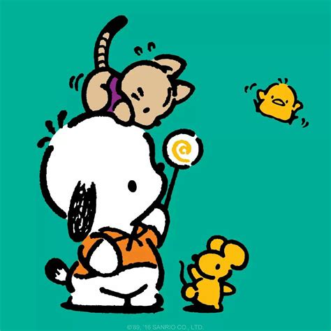 Pochacco Hello Kitty Cute Kawaii Drawings Cute Drawings