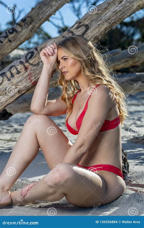 Beautiful Bikini Model Posing In A Beach Environment Stock Photo