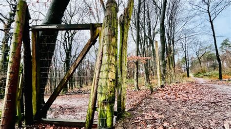 Reichswald Kleve Z Une Weg F R Nationalpark Faktencheck