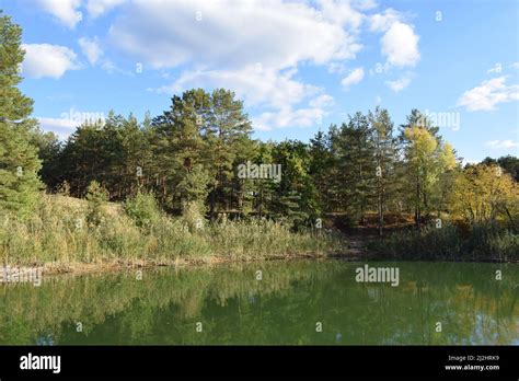 Small Lake In The Forest During Summer Day Lake Surrounded By Green