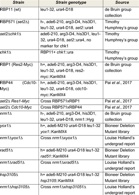 S. pombe strains used in this thesis. | Download Table