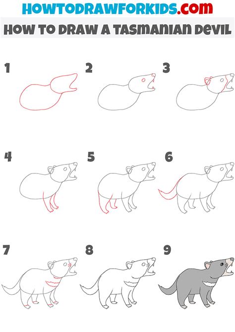 draw  tasmanian devil easy drawing tutorial  kids
