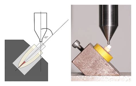 Illustration Of The Fracture Resistance Test Set Up The Specimen