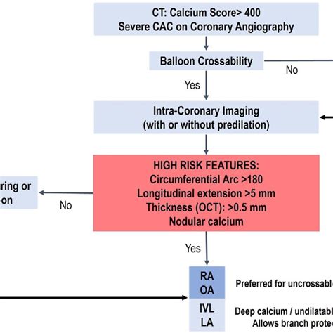 Coronary calcification management algorithm. CAC, coronary artery... | Download Scientific Diagram