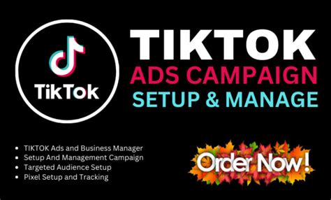 Setup And Manage Tiktok Ads Campaign For Business By Masud Reza Fiverr