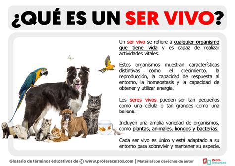 Qué Es Un Ser Vivo Definición De Ser Vivo