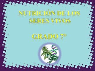 Nutrici N De Los Seres Vivos Y Medio Ambiente Ppt