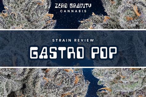 Gastro Pop Strain Review