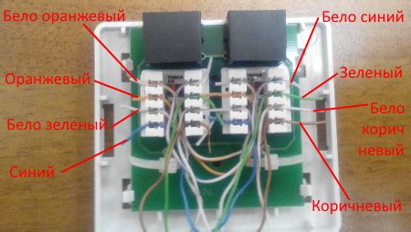 Подключение двойной розетки rj 45 к одному кабелю фото