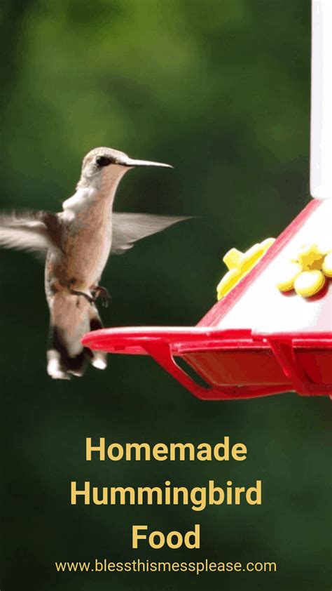 The Best Homemade Hummingbird Food Recipe Bless This Mess