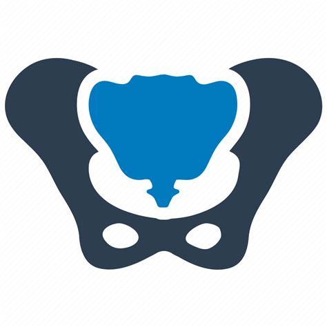 Anatomy Bone Hip Pelvic Pelvis Icon Download On Iconfinder