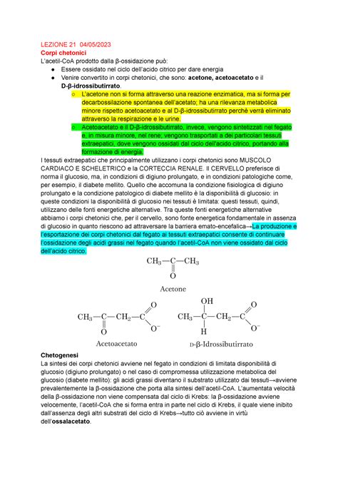 Biochimica Prof Zara Lezione Lezione Corpi Chetonici L