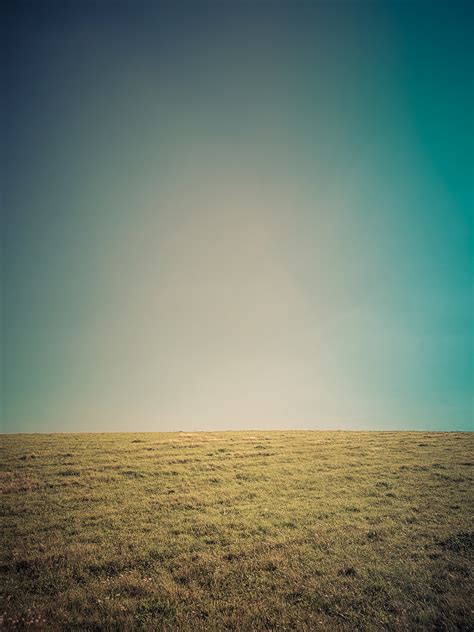 Grass And Sky Background Free Stock Photo Public Domain Pictures