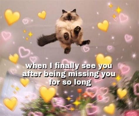 Wholesome Supportive Memes To Send To Loved Ones Cat Memes