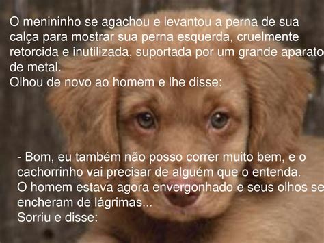 Topo Imagem Cachorro De Cal A Meme Br Thptnganamst Edu Vn