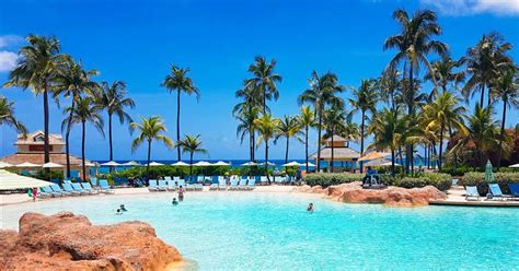 people are swimming in the blue pool near palm trees and beach umbrellas on a sunny day