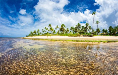 Passeio a Praia do Forte Guarajuba Saindo dos hotéis em Salvador