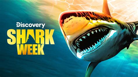 Shark Week 2023 Premiere Delivers Highest Rating In 3 Years