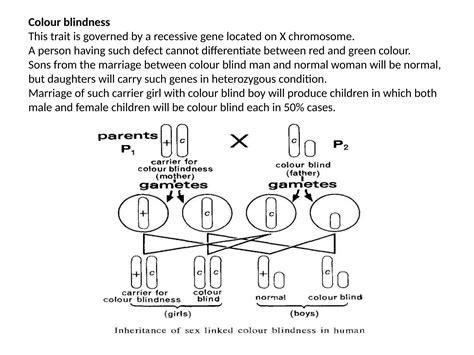4b Sex Linked Inheritance And Characters Pptx