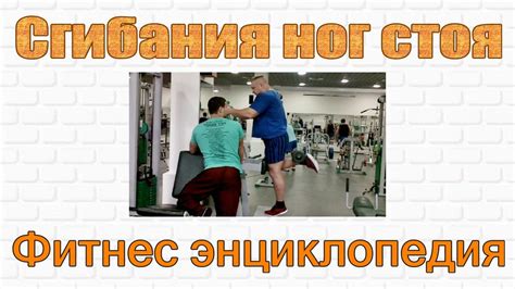 Сгибания ног стоя в тренажёре. Правильная техника. - YouTube