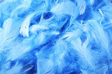 Premium Photo | Blue chicken decorative feathers