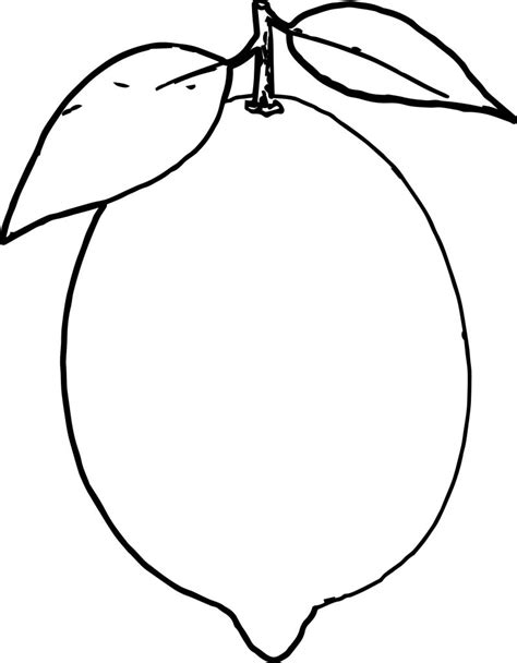 Lemon Fruit Coloring Pages Sketch Coloring Page