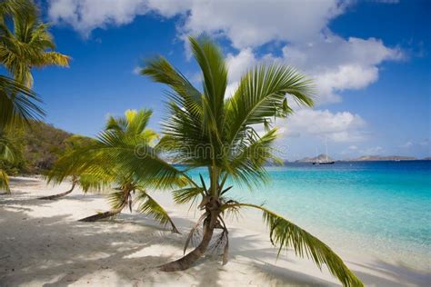 Salomon Beach En El Parque Nacional De Las Islas V Rgenes De Los E E U