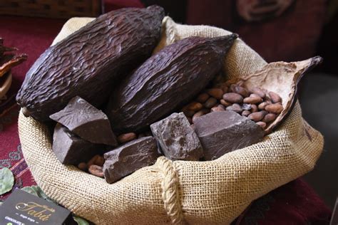 Abi Exportaciones De Cacao Boliviano Y Preparaciones Alcanzaron Récord De Casi Us 3 Millones