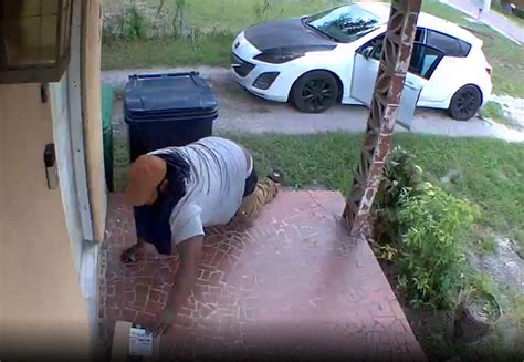 Porch Pirate Caught Stealing Amazon Package In Tampa Police Tampa Fl Patch