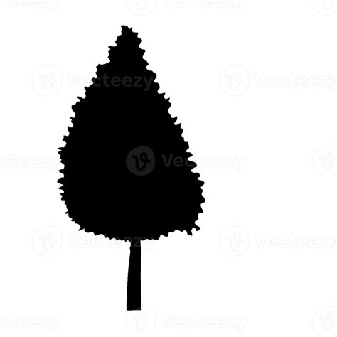 silhouette tree cartoon 11300948 PNG