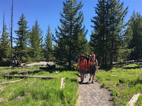 Yellowstone & Grand Teton Hiking Tour - Wyoming | Timberline Adventures