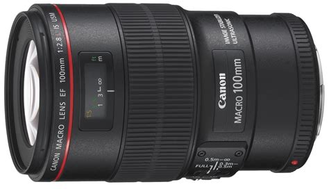 Canon Ef Mm F L Is Usm Makro Objektiv Der Oberklasse Im Test