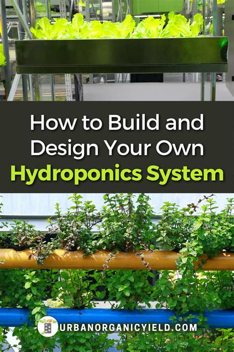 Hydroponics DIY How to Build Step by Step | Aquaponic gardening ...