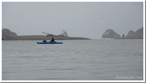 Poke Pole Bamboo And An Afternoon Yak At Jenner With Steve Bobs Eyes