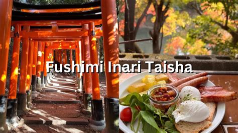 Fushimi Inari Taisha Cats Autumn Caf Toriis Vlog Youtube