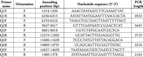 Details of the primers used to amplify the mitochondrial DNA of T ... 