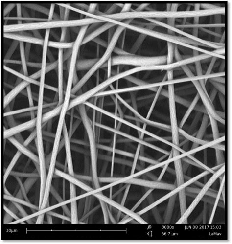 Figure From Electrospun F Bioactive Glass Pclpoly Caprolactone