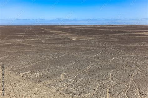 Nazca lines Stock Photo | Adobe Stock