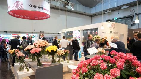 Kordes Rosen Üppige Blütenpracht für Fachbesucher Gabot de