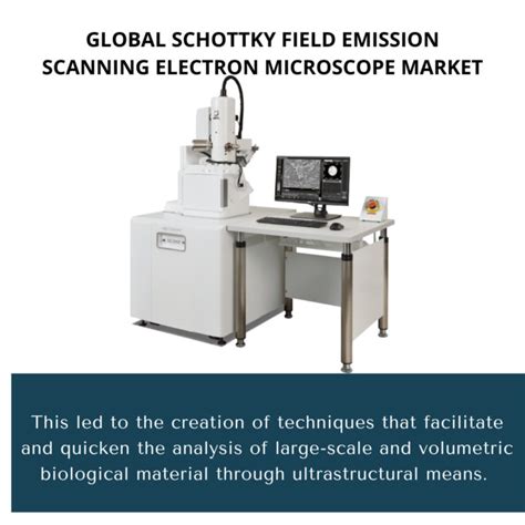 Global Schottky Field Emission Scanning Electron Microscope Market 2022