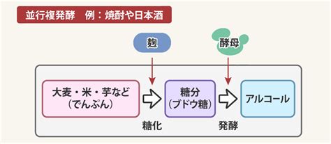koji koji note