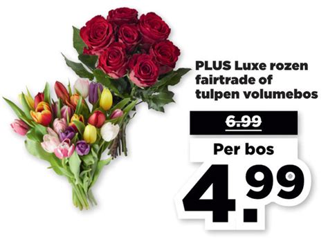 Rozen Tulpen Folder Aanbieding Bij Plus Details