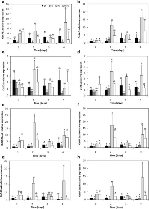 The Transcript Levels Of Genes Related To Ga Biosynthesis And