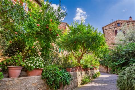 Mediterrane Gartengestaltung So Sorgen Sie F R S Dliches Flair